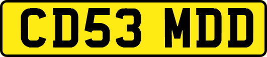CD53MDD