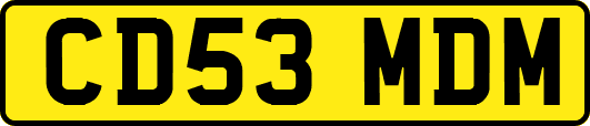 CD53MDM