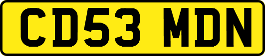 CD53MDN