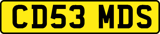CD53MDS