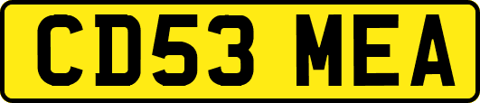 CD53MEA