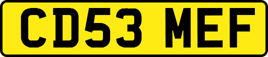 CD53MEF