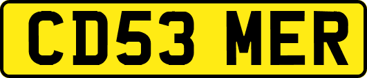 CD53MER