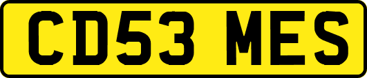 CD53MES