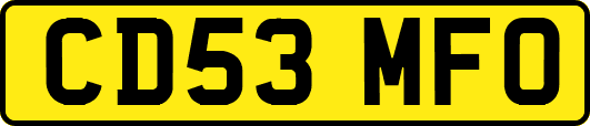 CD53MFO