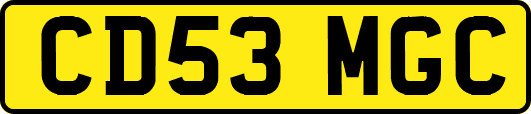 CD53MGC