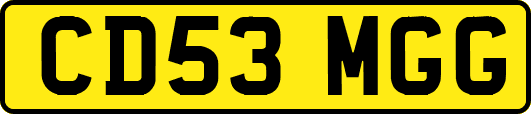 CD53MGG