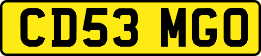 CD53MGO