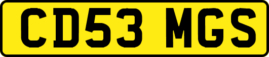 CD53MGS