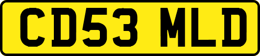 CD53MLD