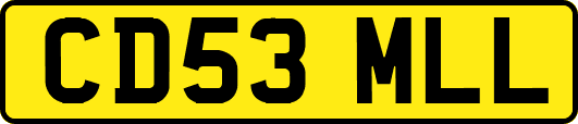 CD53MLL