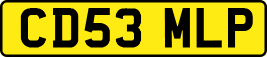 CD53MLP