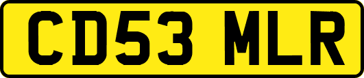 CD53MLR