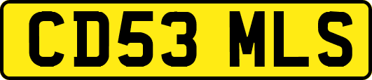 CD53MLS