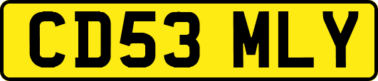 CD53MLY