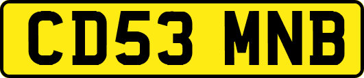 CD53MNB