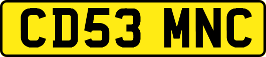CD53MNC