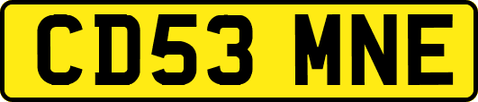 CD53MNE