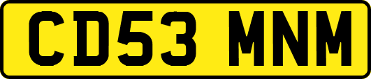CD53MNM