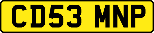 CD53MNP