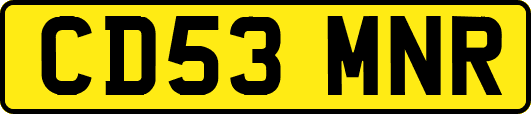 CD53MNR