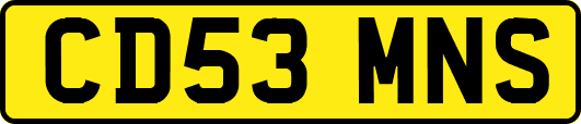 CD53MNS