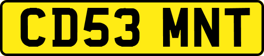 CD53MNT