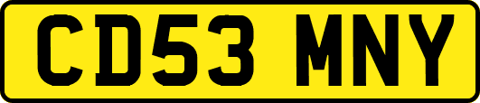 CD53MNY