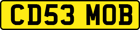 CD53MOB