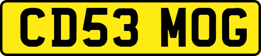 CD53MOG