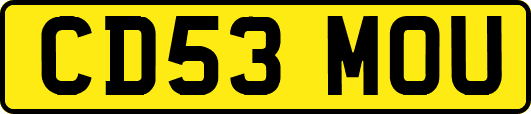 CD53MOU