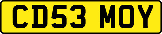 CD53MOY