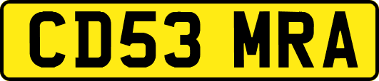 CD53MRA