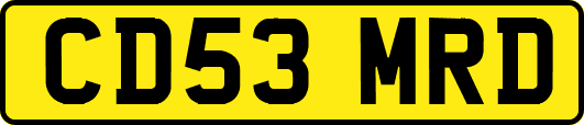 CD53MRD