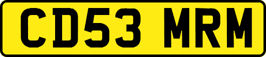 CD53MRM