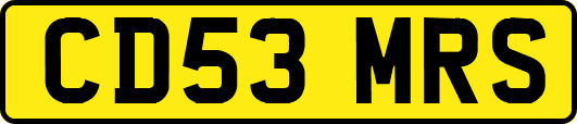 CD53MRS