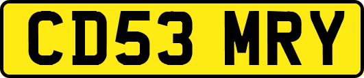 CD53MRY
