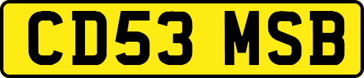 CD53MSB