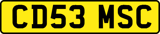 CD53MSC
