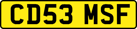 CD53MSF