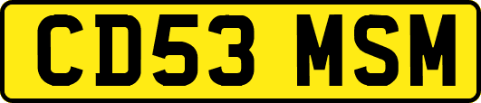 CD53MSM