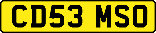 CD53MSO