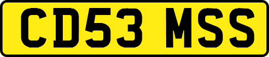 CD53MSS