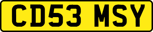 CD53MSY