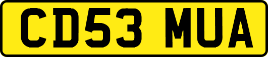 CD53MUA