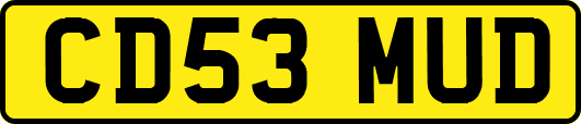 CD53MUD