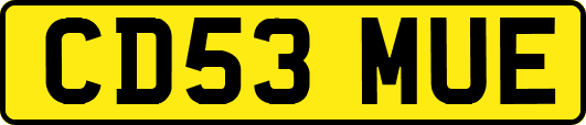 CD53MUE