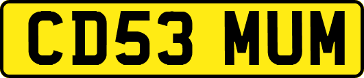 CD53MUM