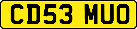 CD53MUO