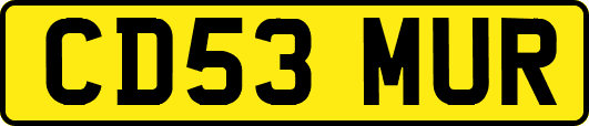 CD53MUR